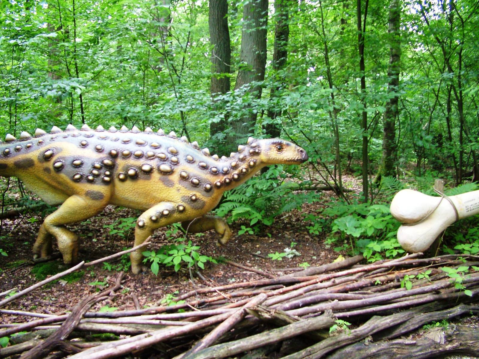 Dinosaur Park at Amersfoort, 01/06/12