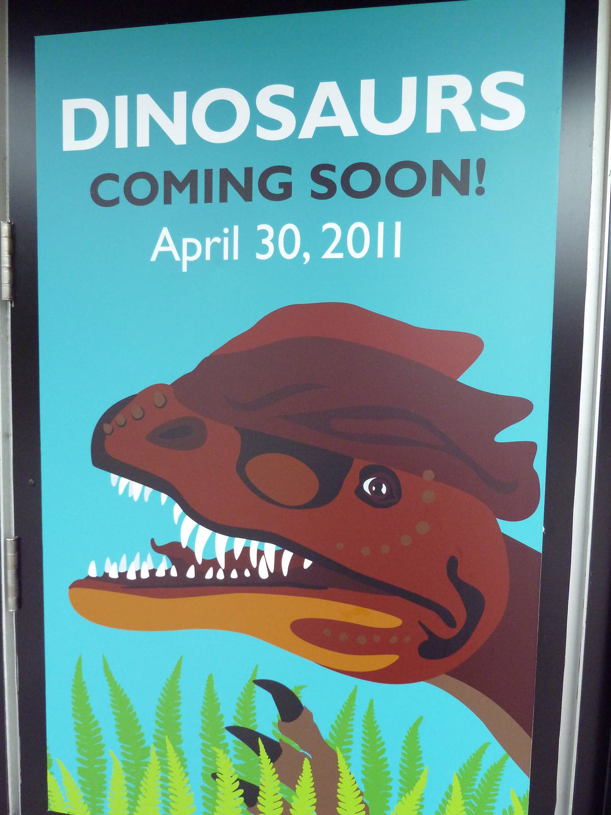 Dinosaur Poster
