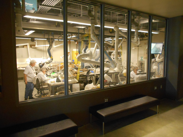 Dinosaur preparation lab