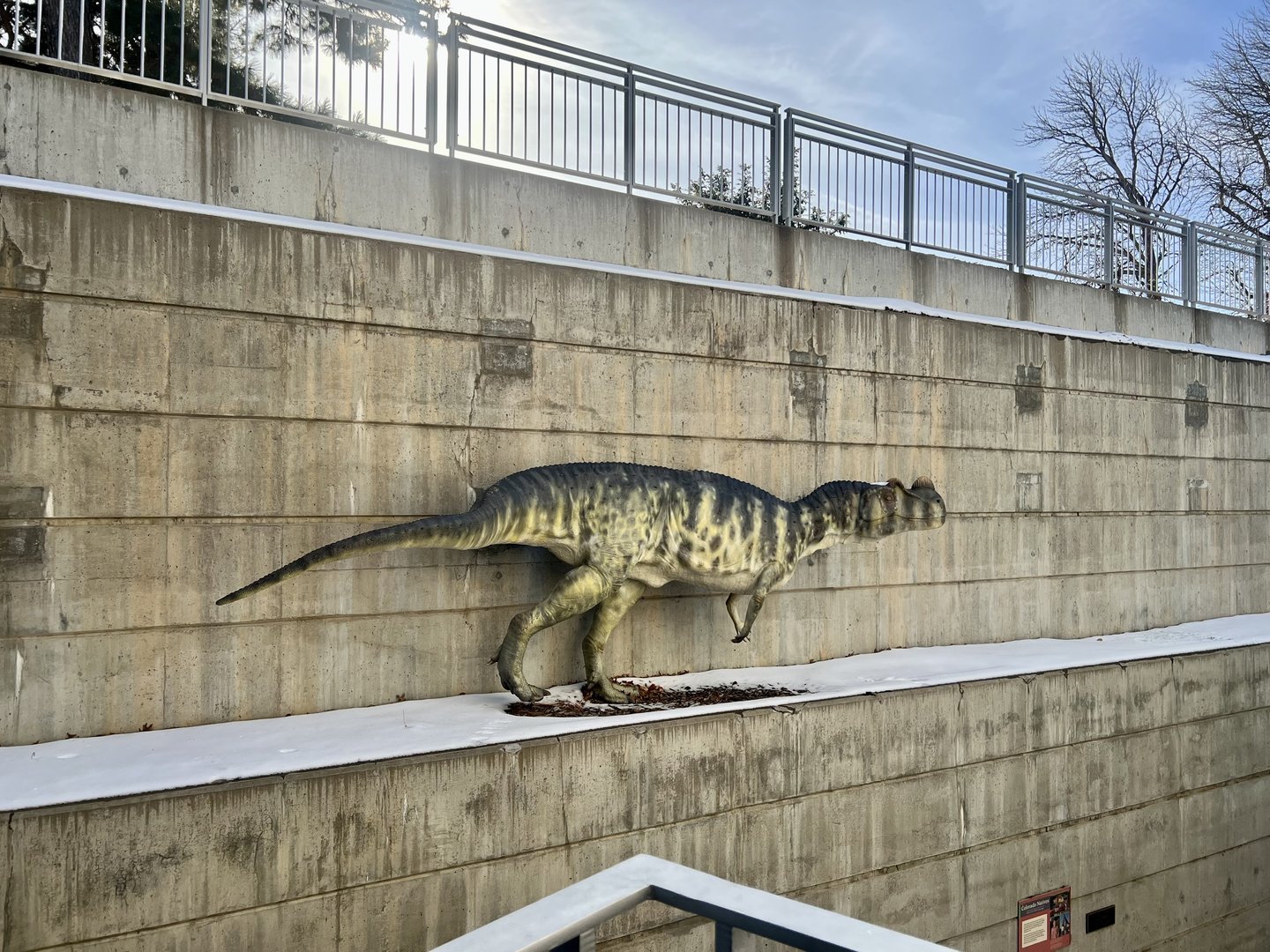 Dinosaur Replica