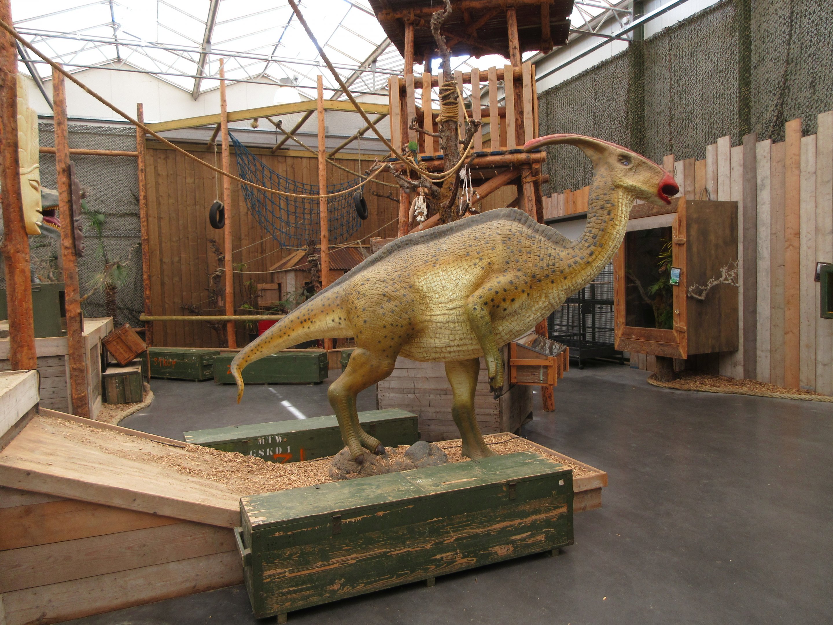 Dinosaur Room