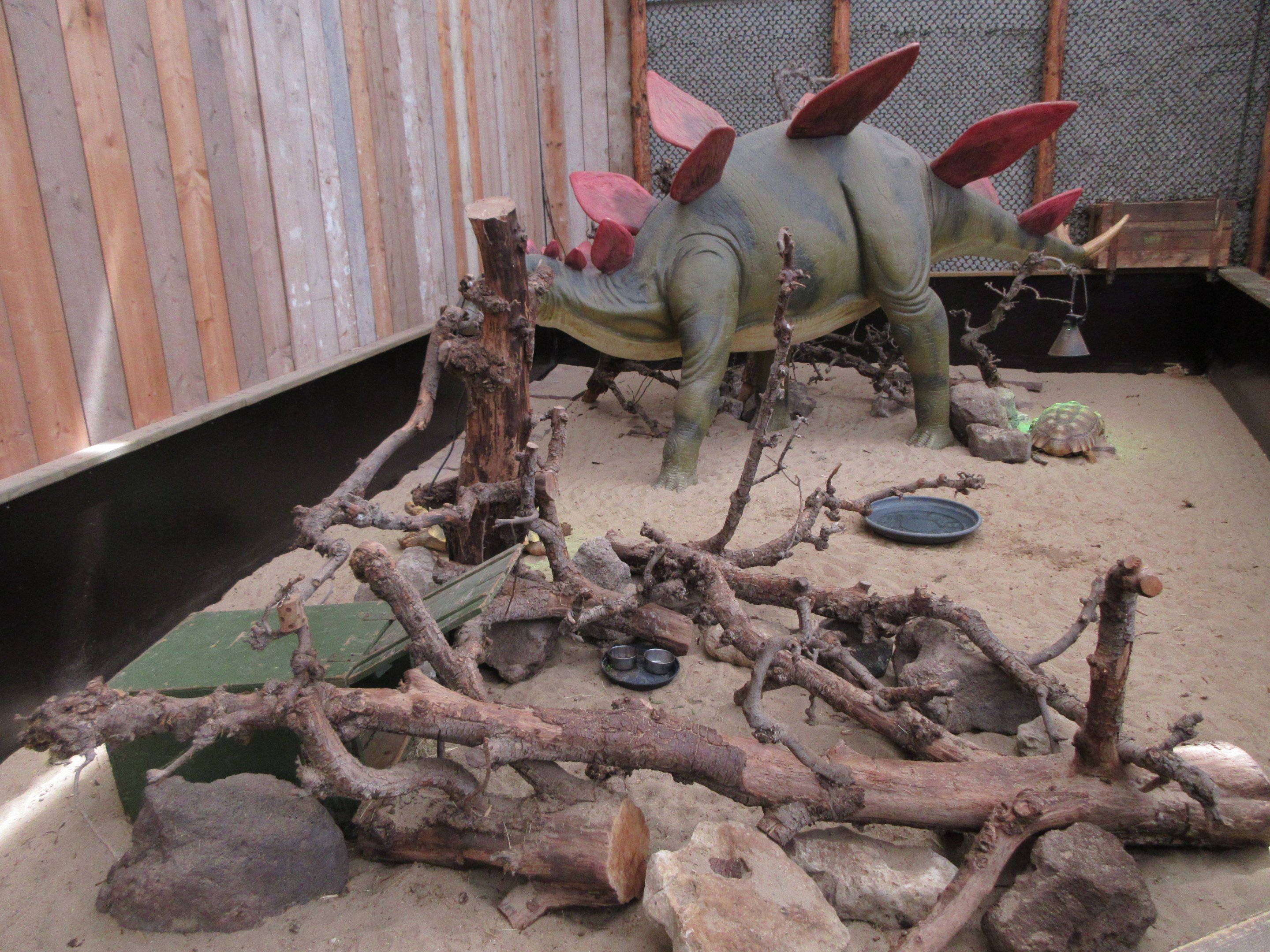 Dinosaur Room