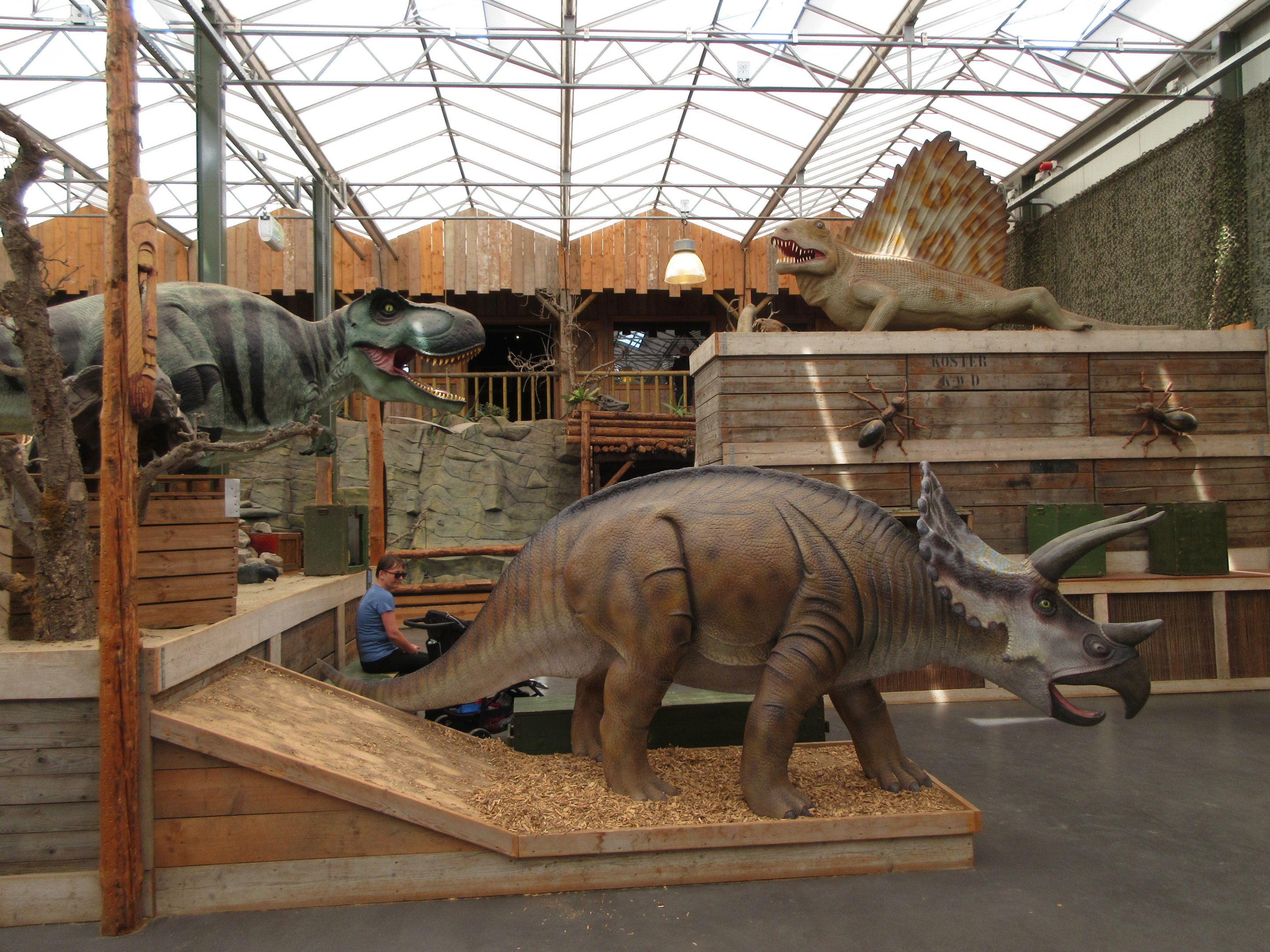 Dinosaur Room