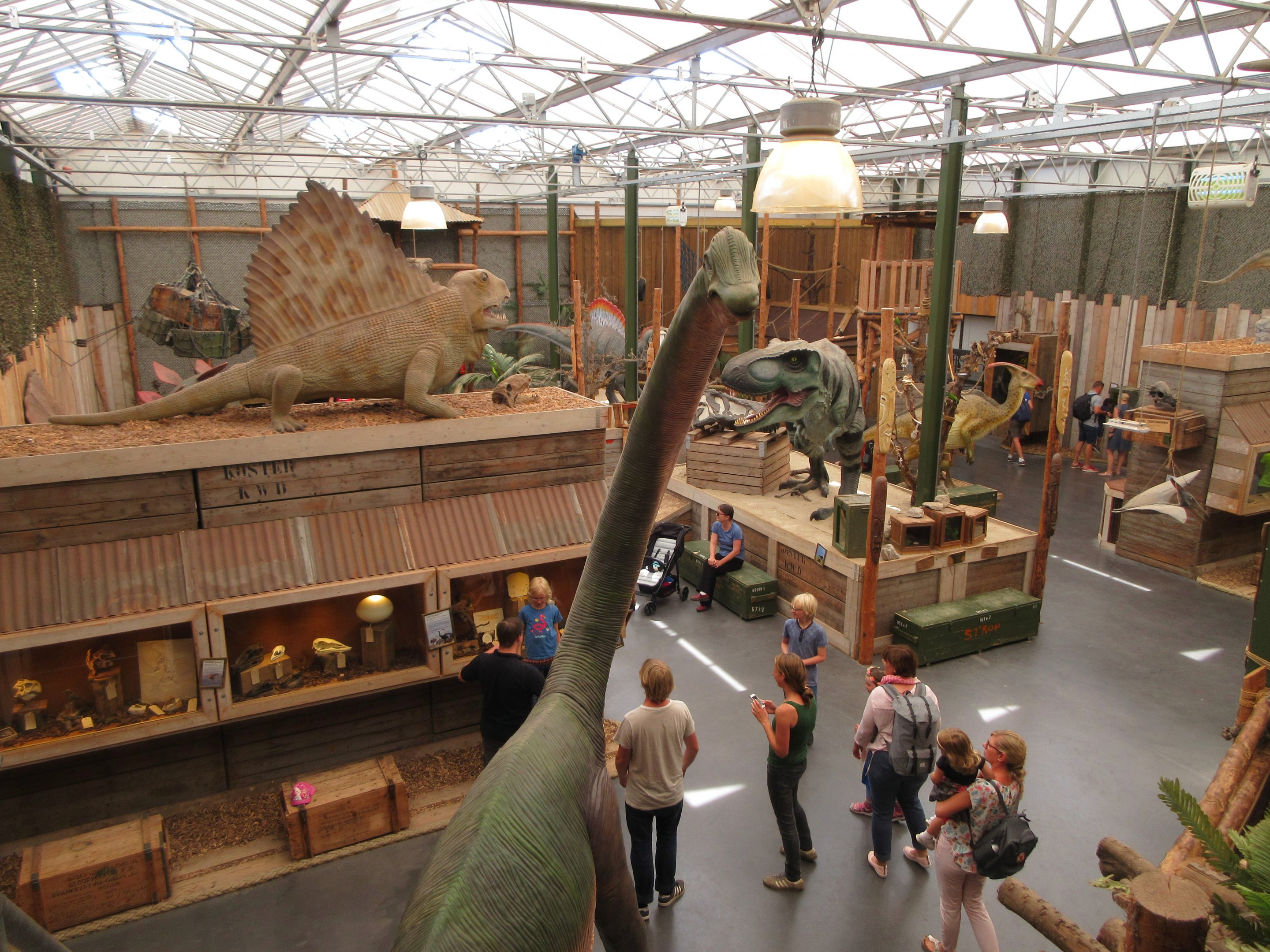 Dinosaur Room