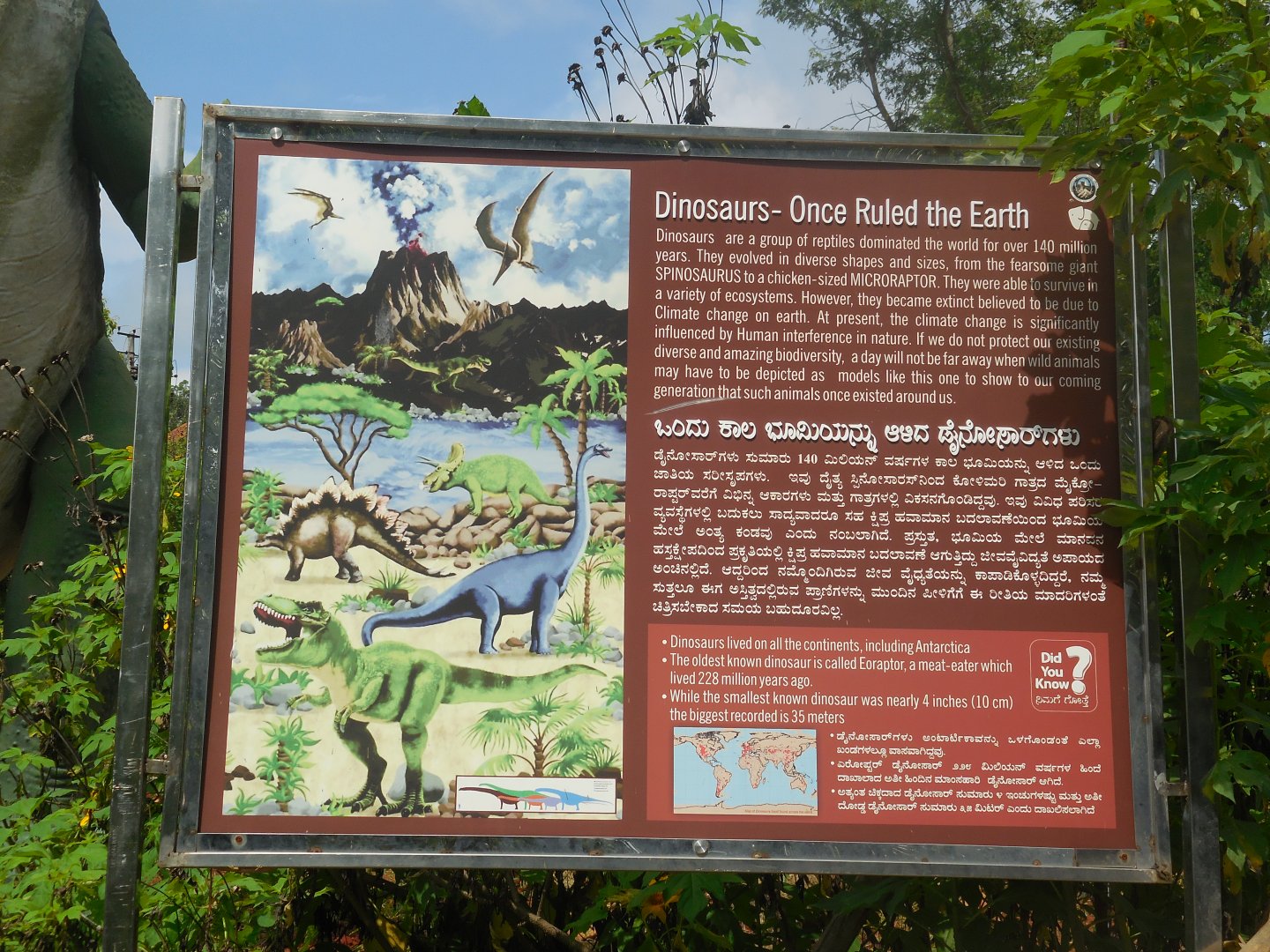 Dinosaur Section- Signage