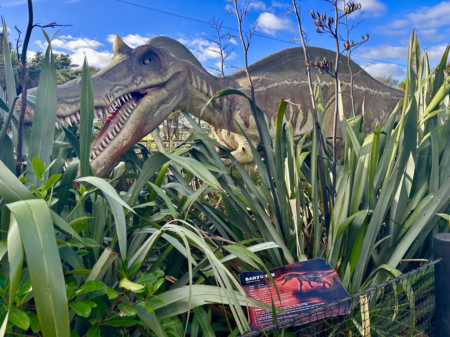 Dinosaur Track - Baryonyx