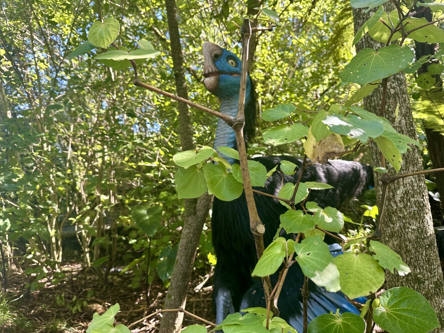 Dinosaur Track - Citipati