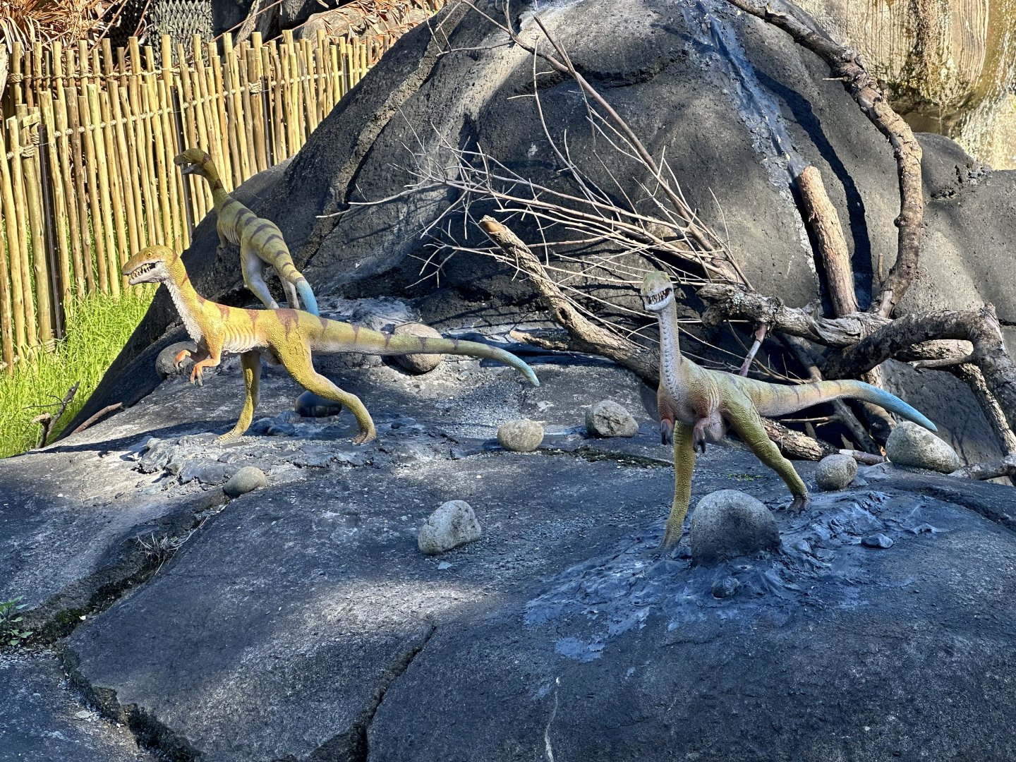 Dinosaur Track - Compsognathus