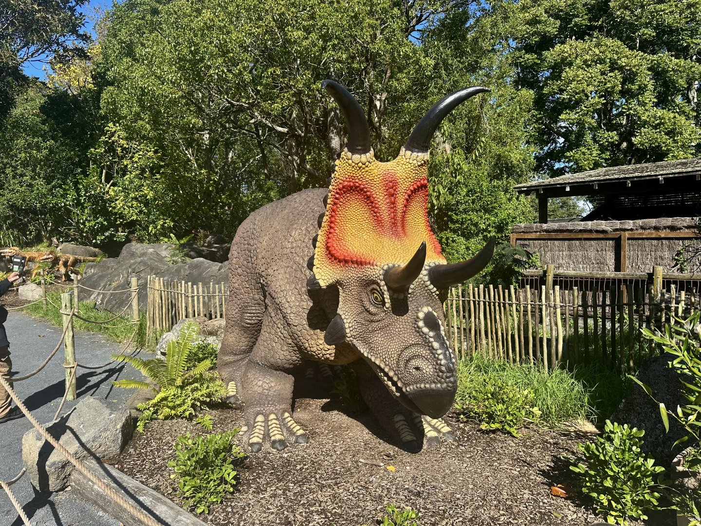 Dinosaur Track - Diabloceratops