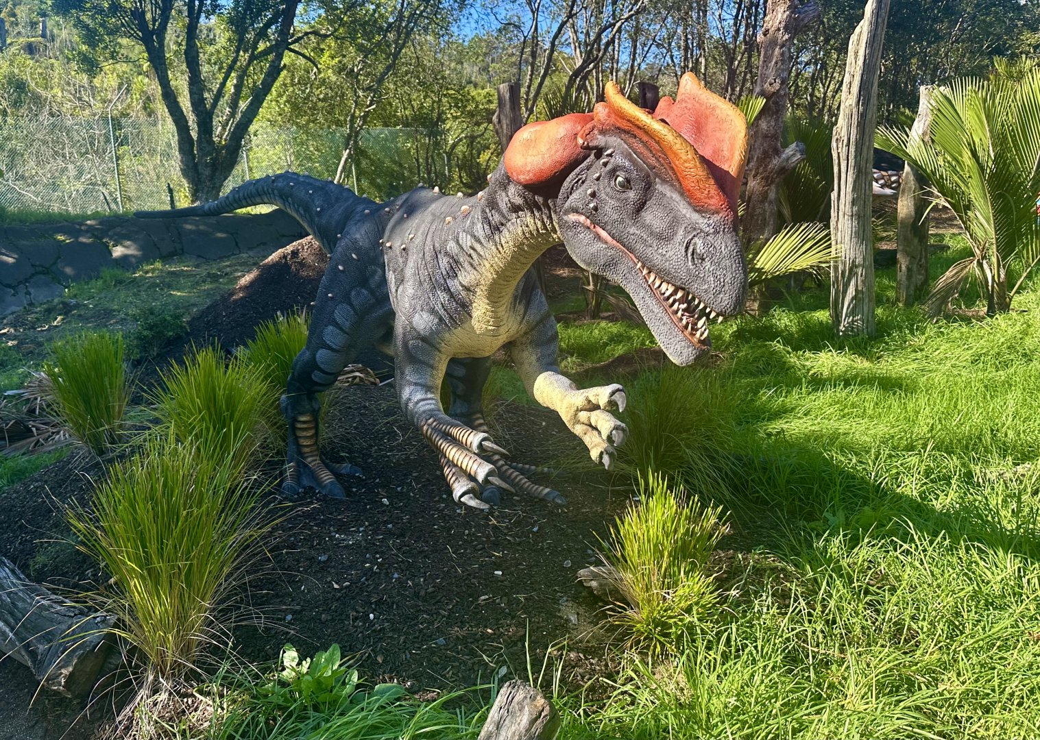 Dinosaur Track - Dilophosaurus