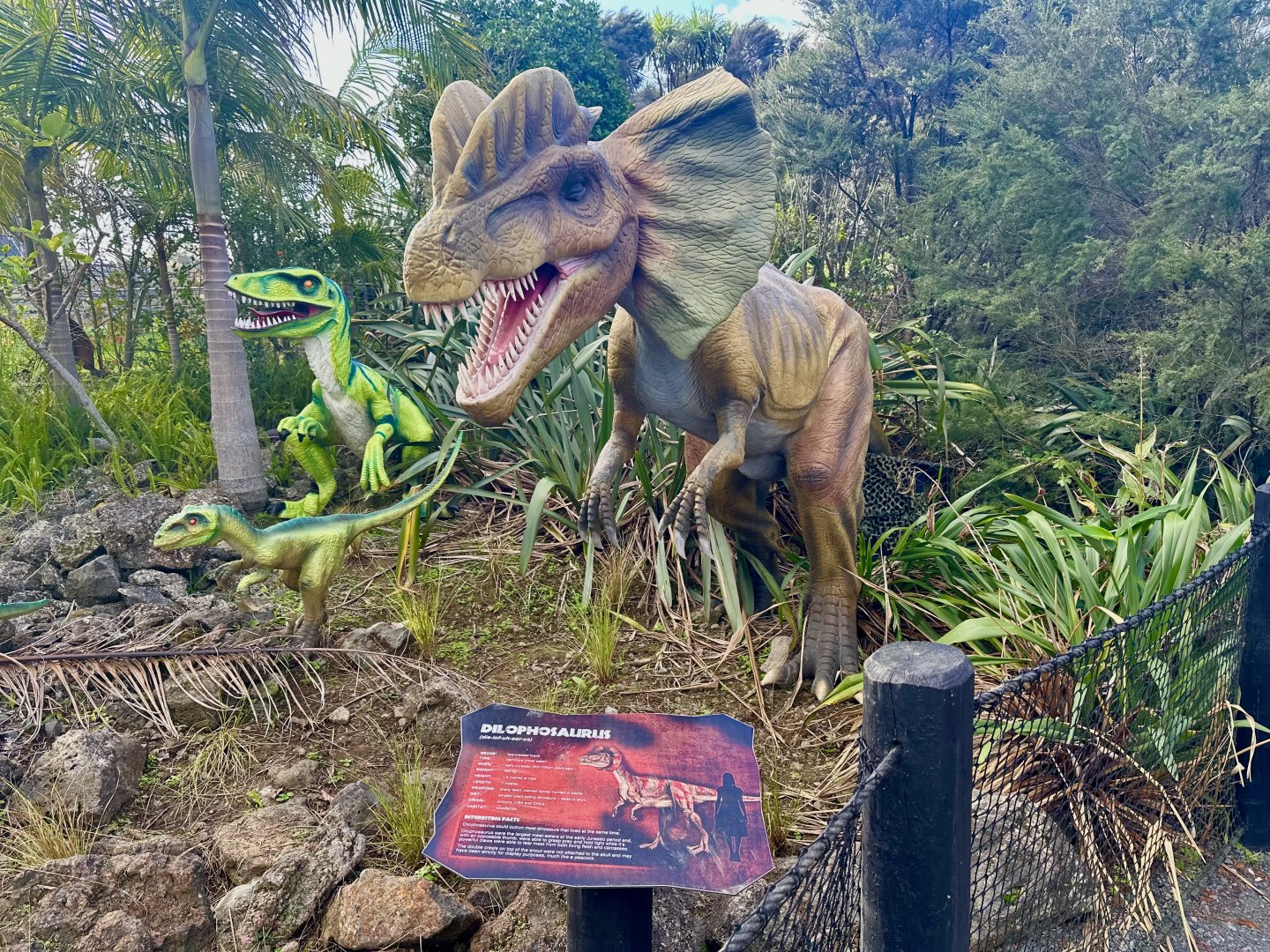 Dinosaur Track - Dilophosaurus