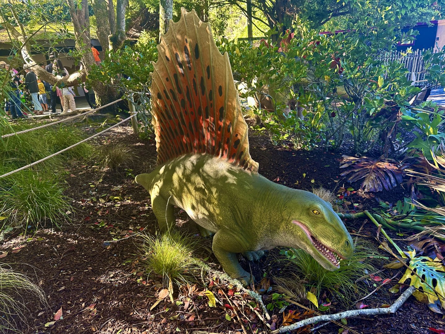 Dinosaur Track - Dimetrodon