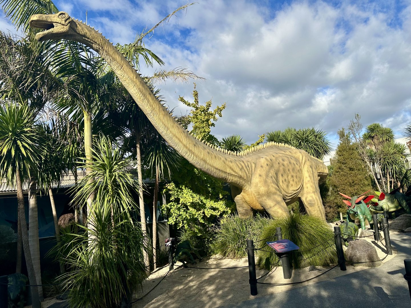 Dinosaur Track - Diplodocus