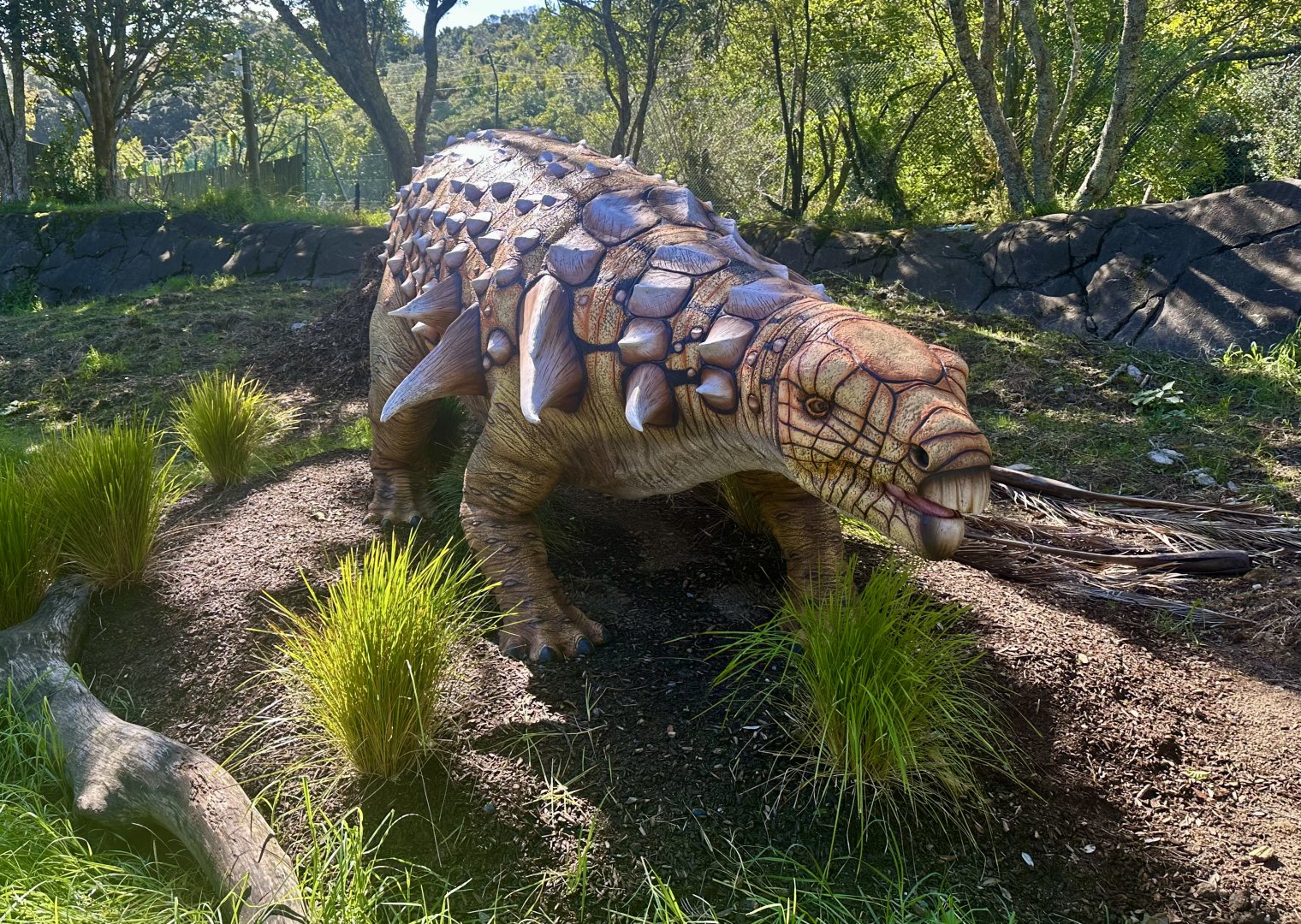 Dinosaur Track - Edmontonia
