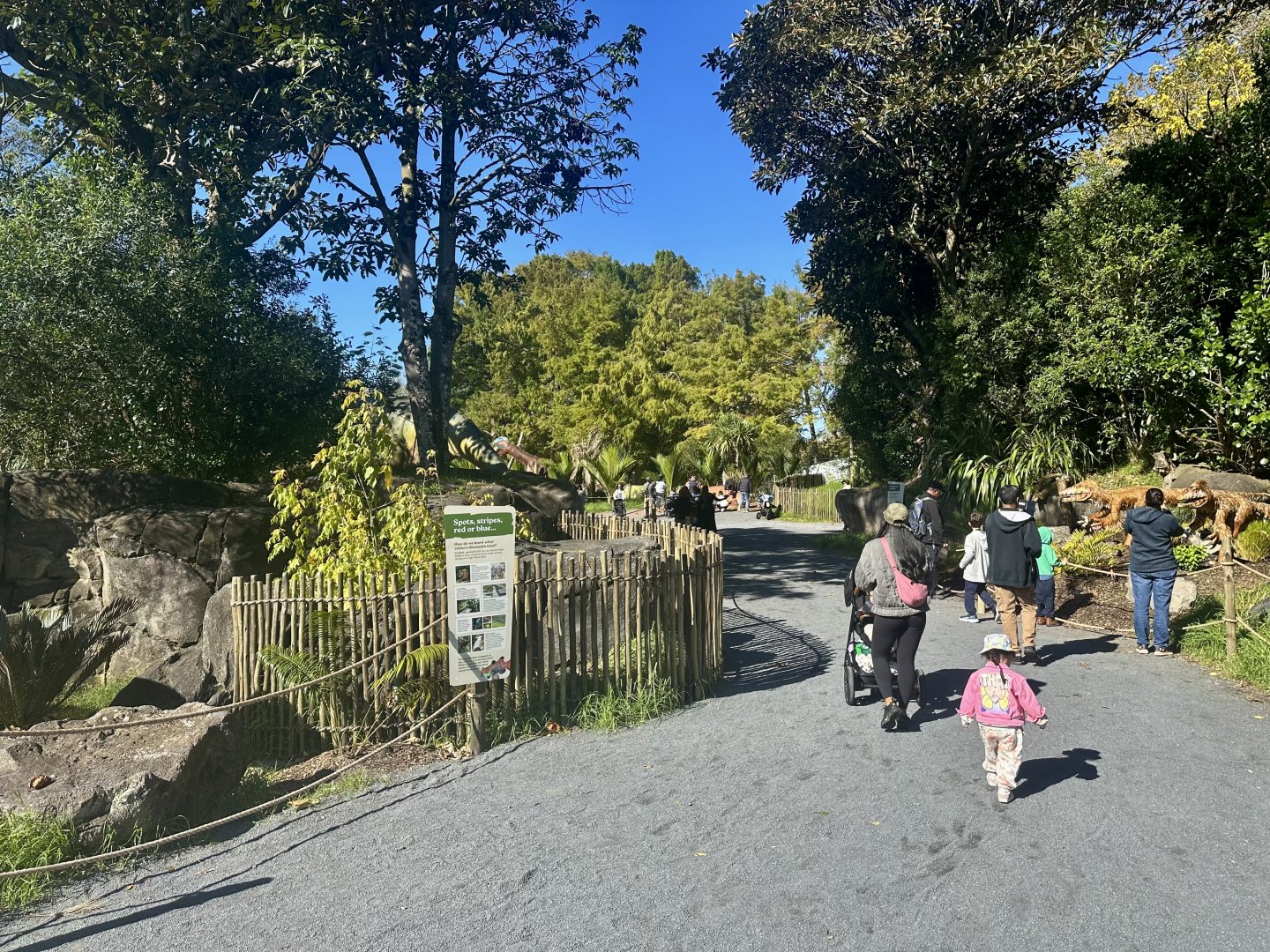 Dinosaur Track - Entrance
