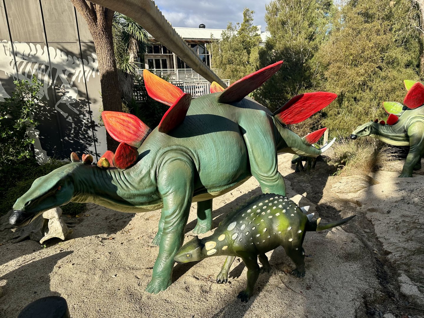 Dinosaur Track - Kentrosaurus