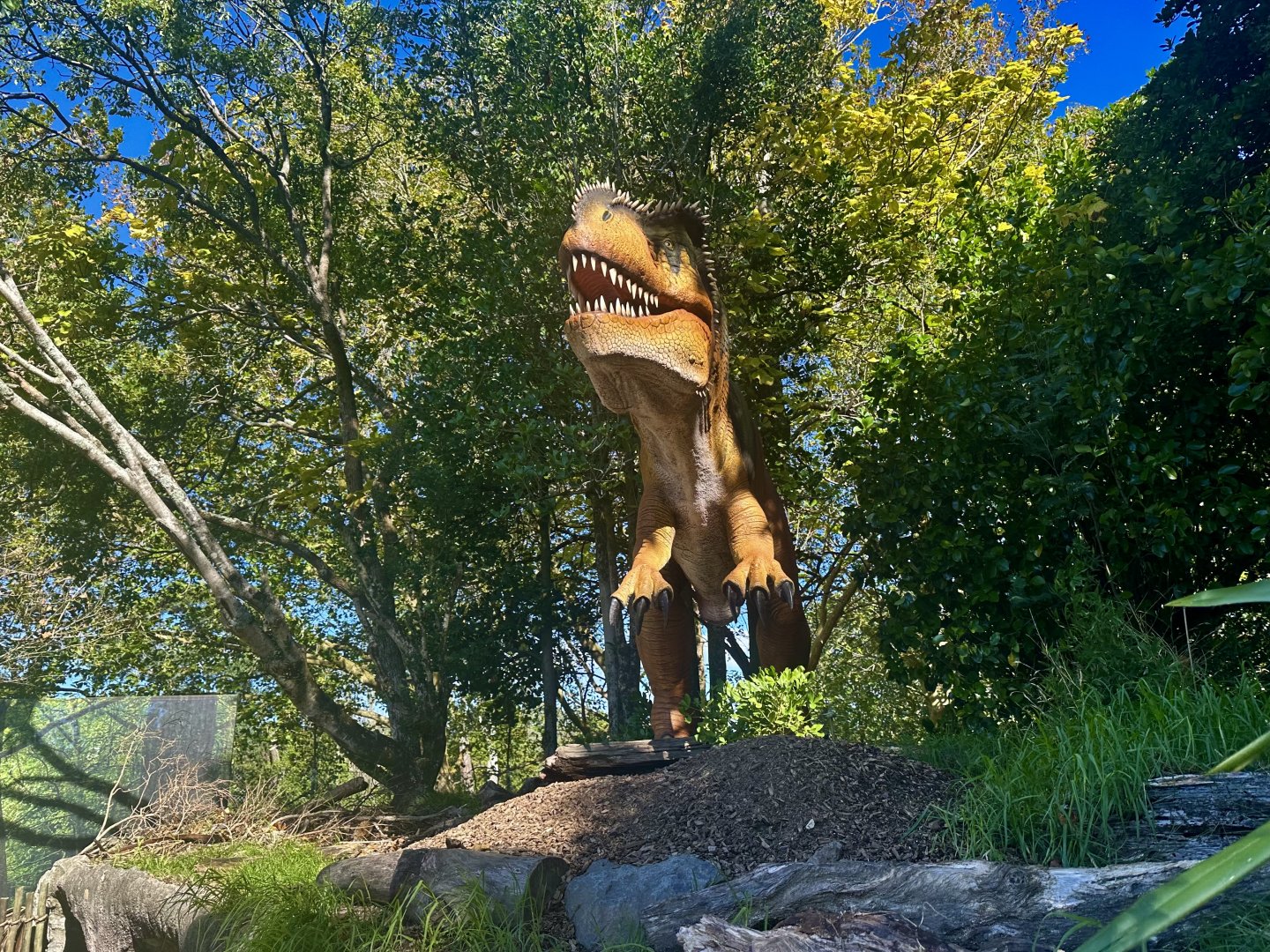 Dinosaur Track - Megalosaurus