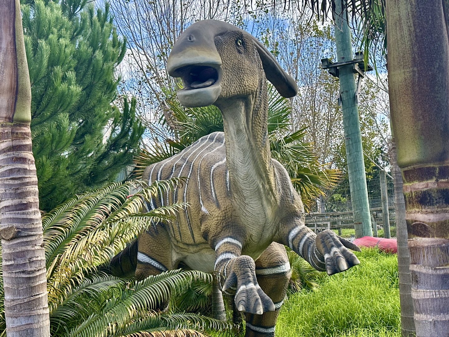 Dinosaur Track - Parasaurolophus