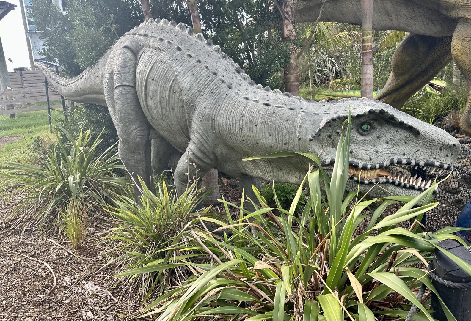 Dinosaur Track - Postosuchus