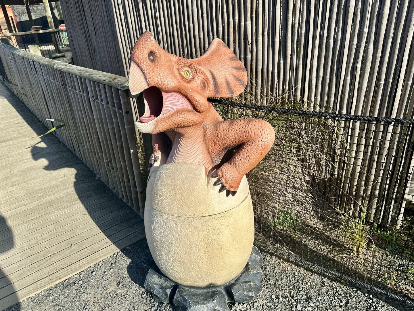 Dinosaur Track - Protoceratops