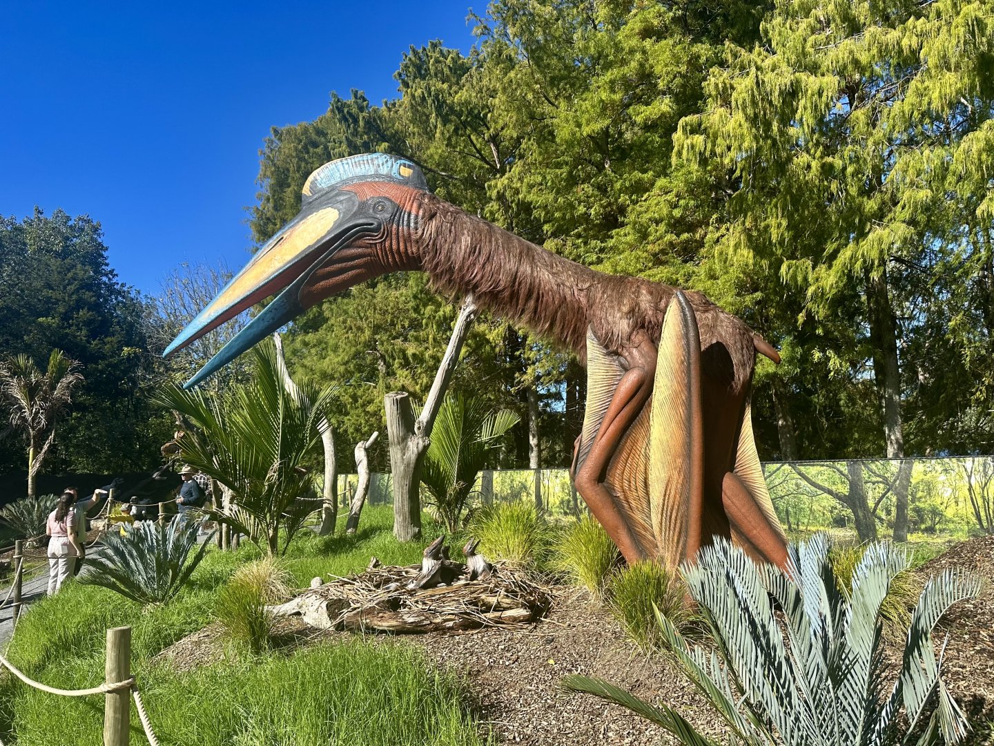 Dinosaur Track - Quetzalcoatlus