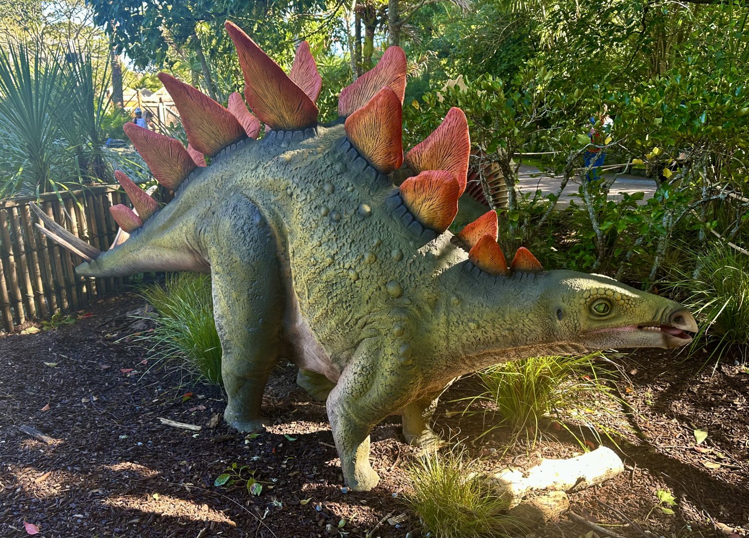 Dinosaur Track - Stegosaurus