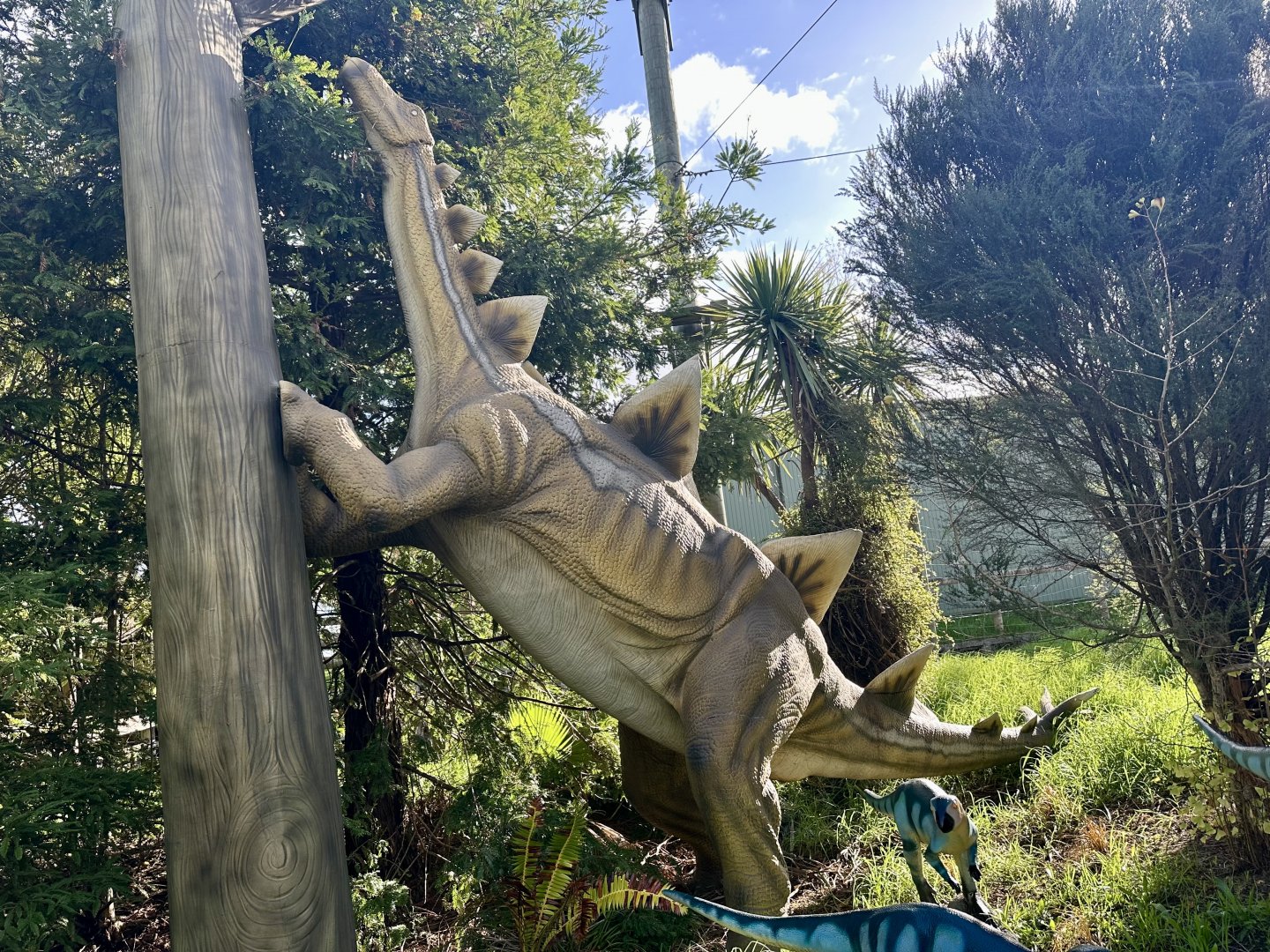 Dinosaur Track - Stegosaurus