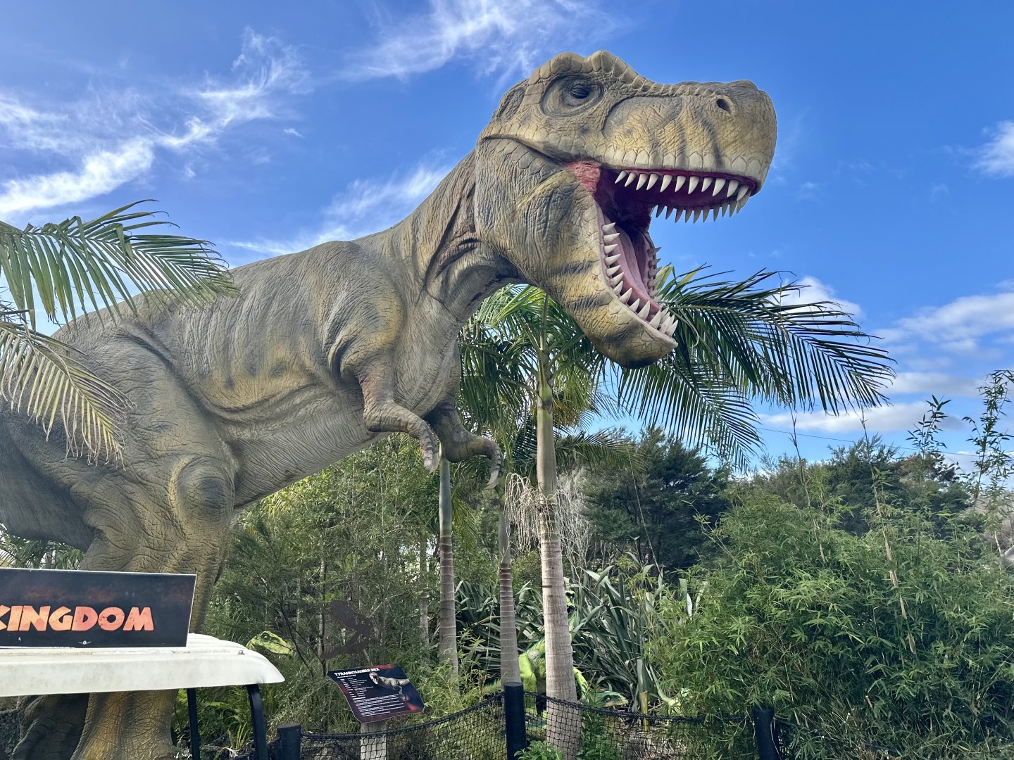 Dinosaur Track - Tyrannosaurs rex