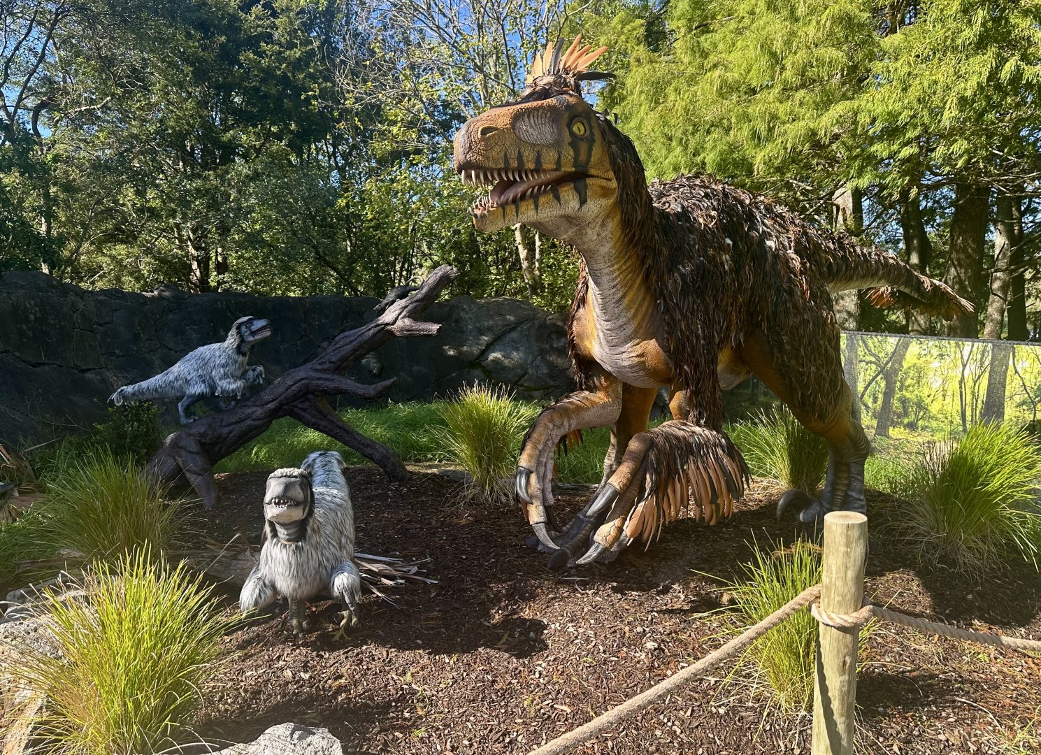 Dinosaur Track - Utahraptor