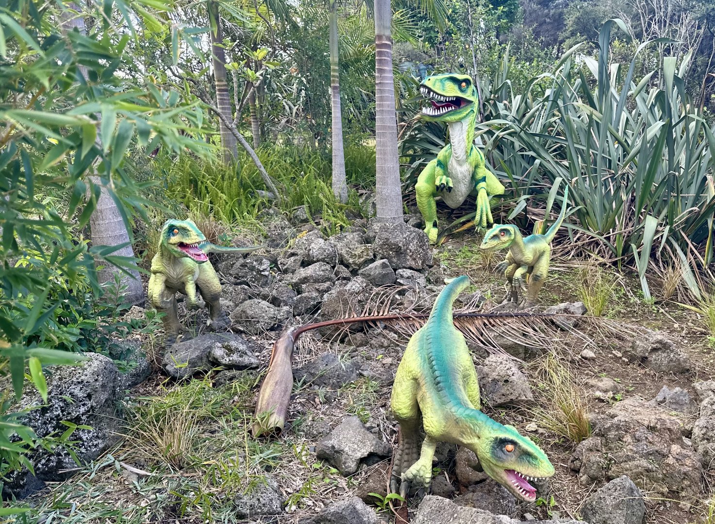 Dinosaur Track - Velociraptor Family