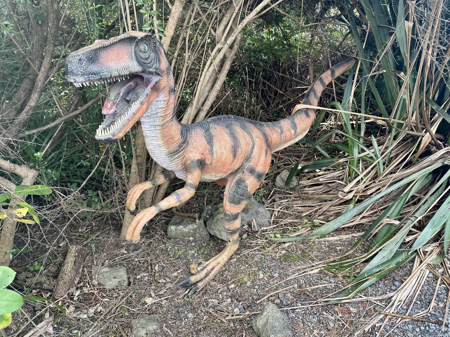 Dinosaur Track - Velociraptor