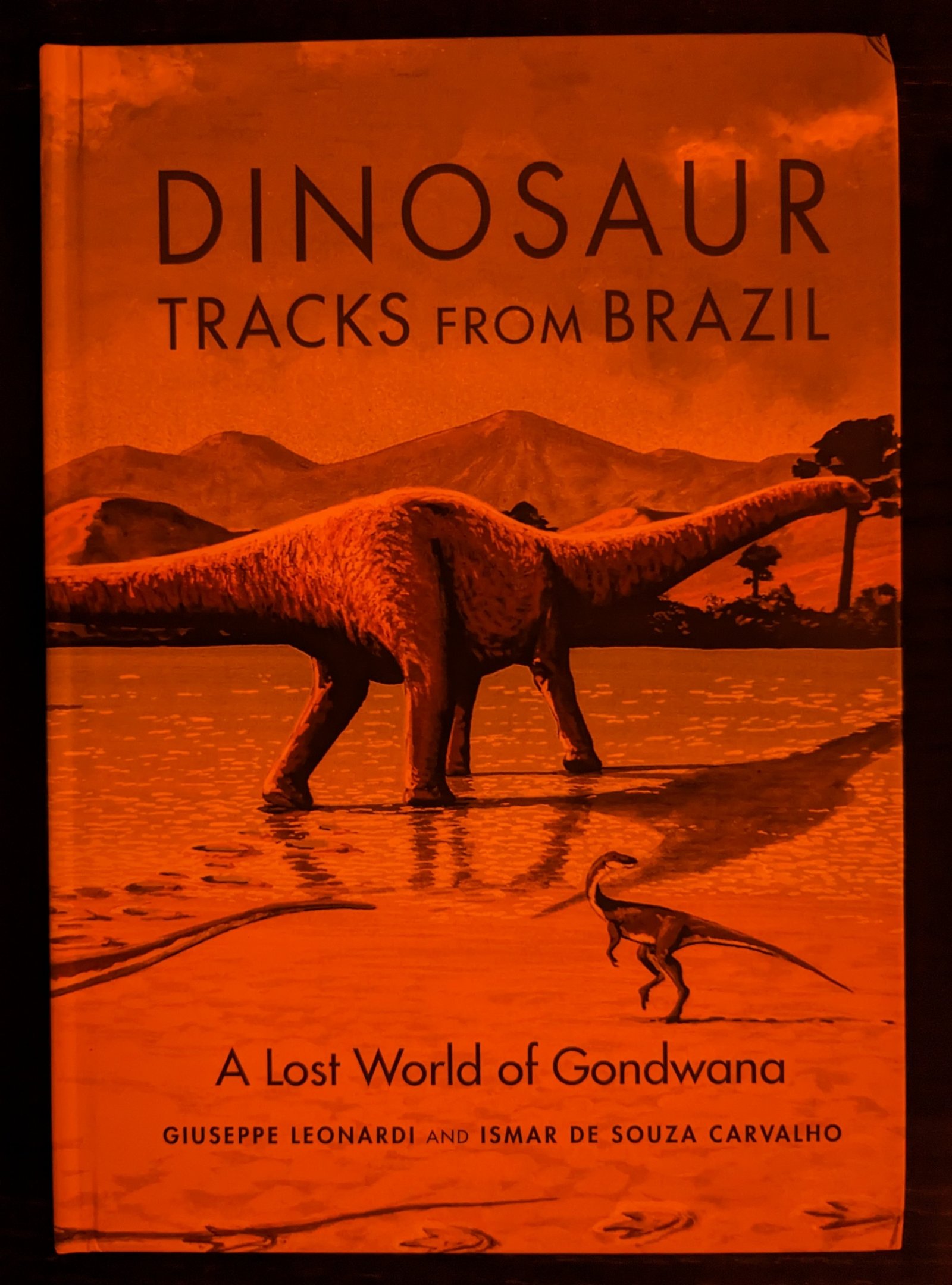 Dinosaur Tracks from Brazil: A Lost World of Gondwana