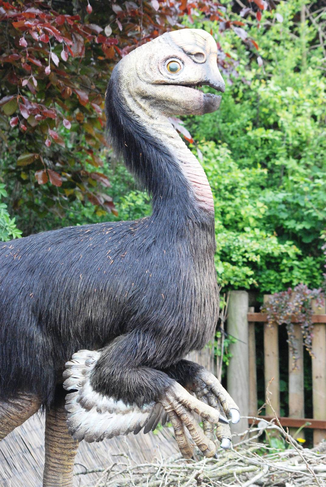 Dinosaur Valley at Twycross, 18/05/13