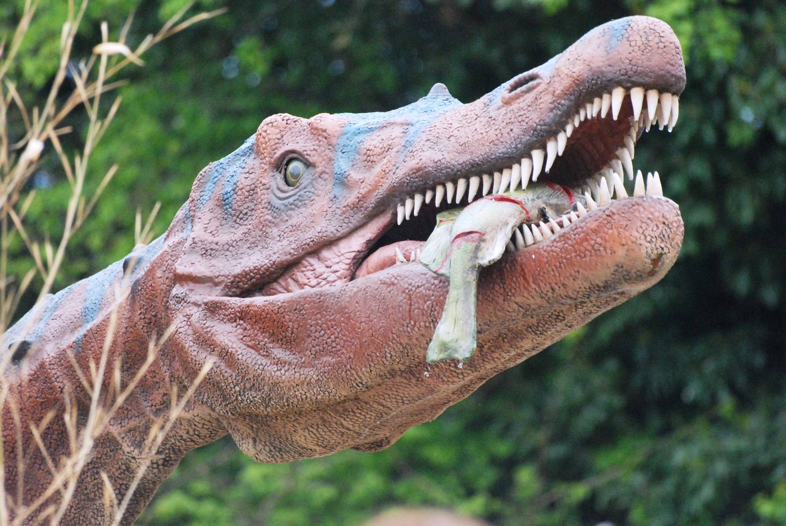 Dinosaur Valley at Twycross, 18/05/13