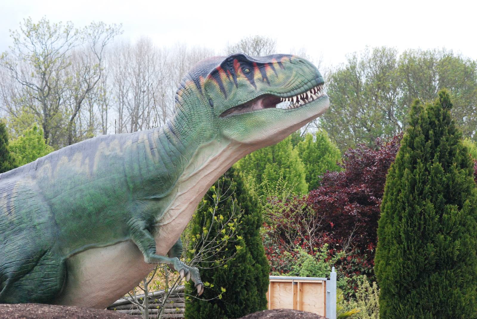 Dinosaur Valley at Twycross, 18/05/13
