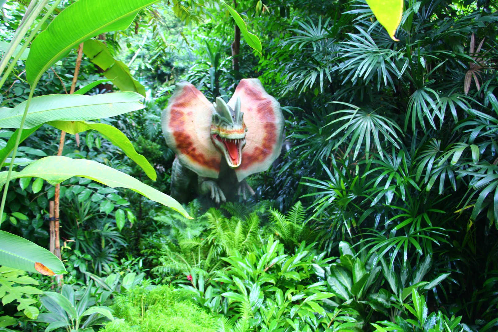 Dinosaur Valley - "Hollywood" Dilophosaurus