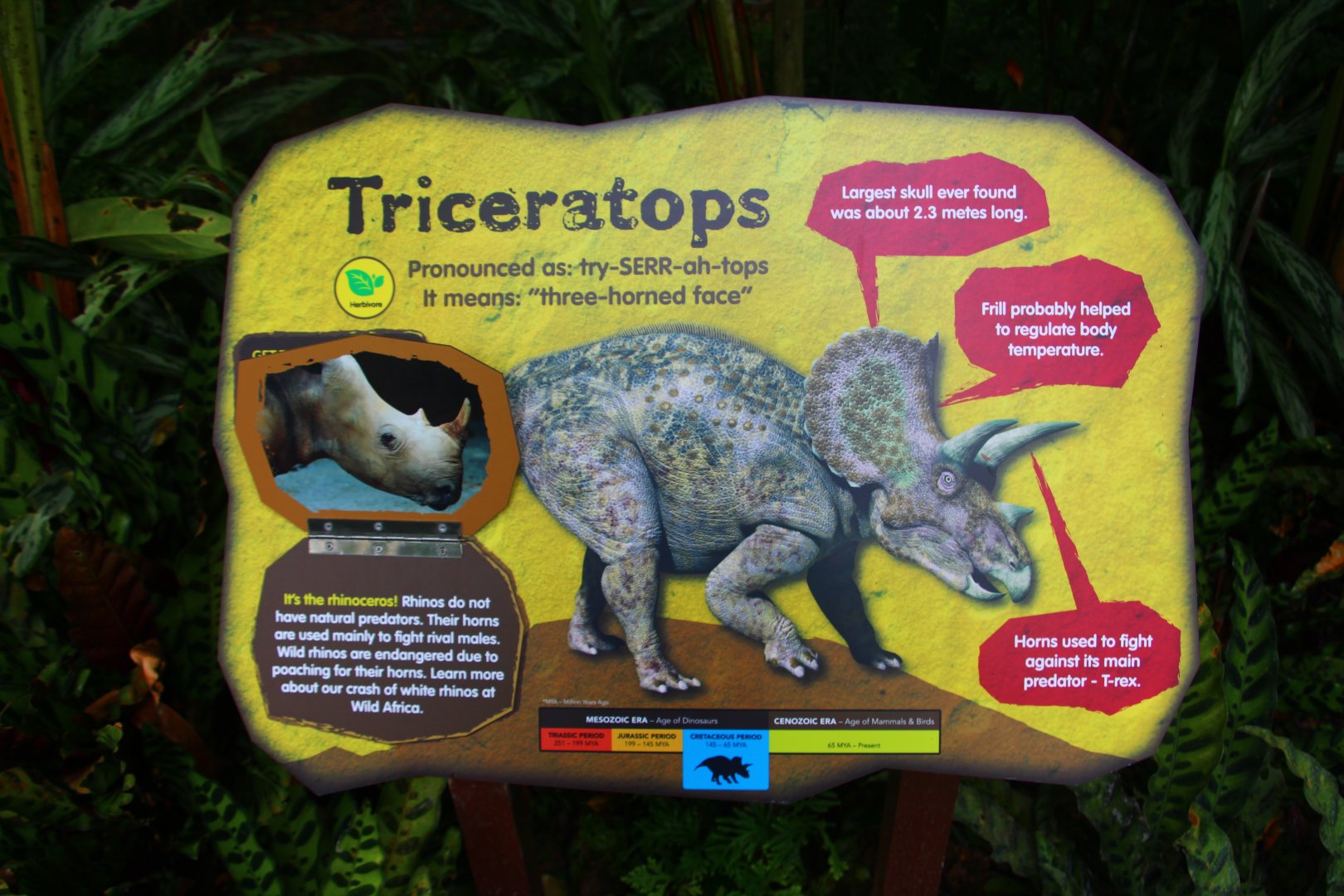 Dinosaur Valley - Identification Sign