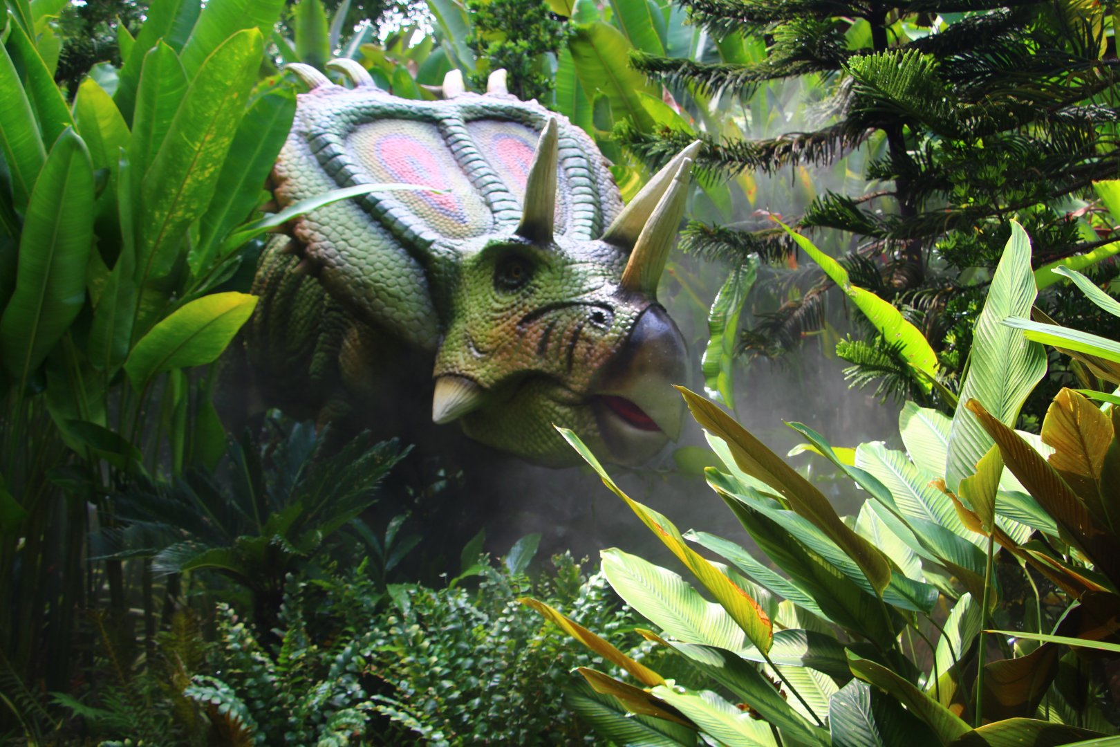 Dinosaur Valley - Mojoceratops