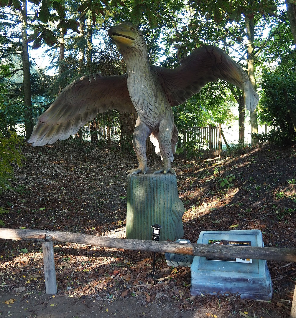 Dinosaur Weeks - Confuciornis model,  2022-10-09