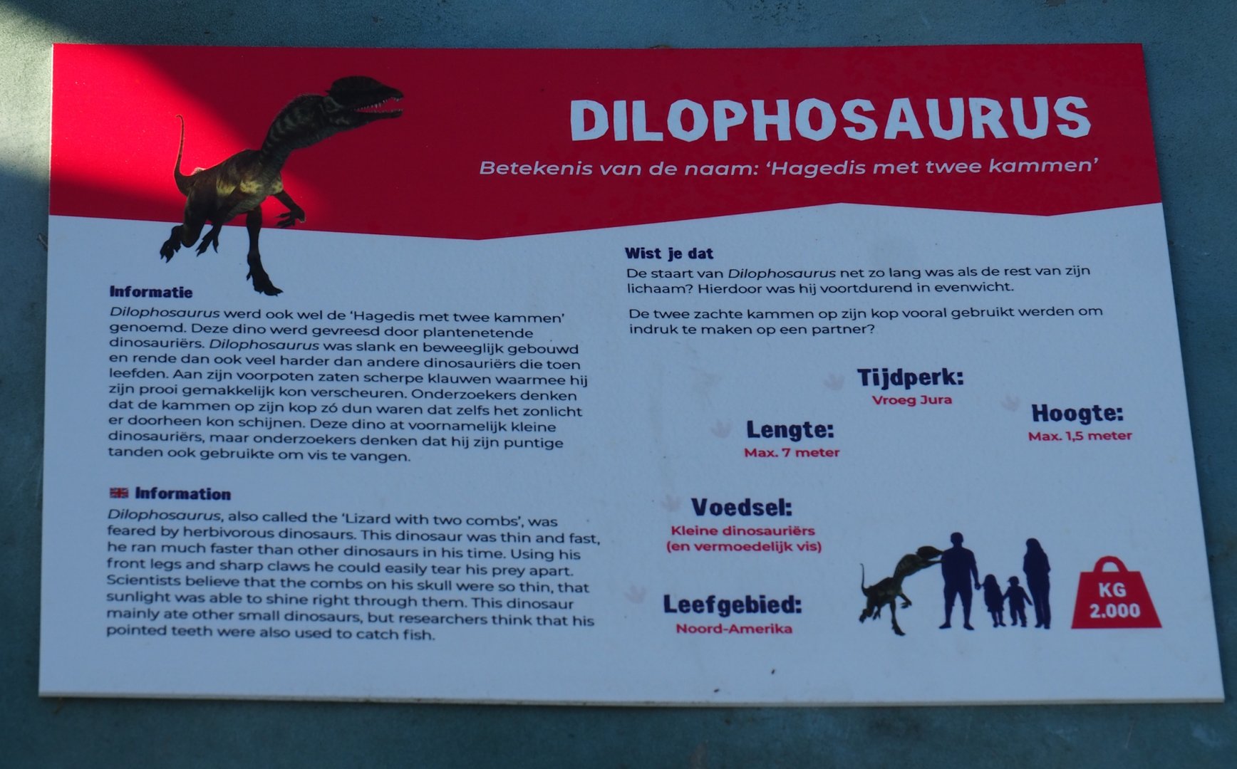 Dinosaur Weeks - Example of signage, 2023-04-30