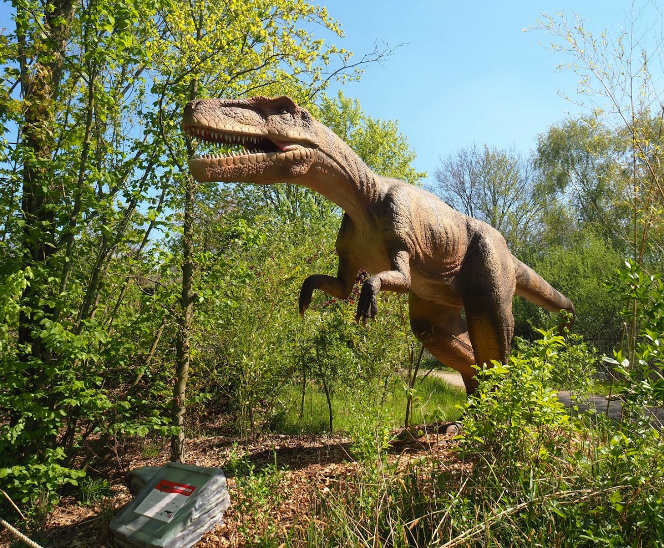 Dinosaur Weeks - Herrerasaurus statue, 2023-04-30