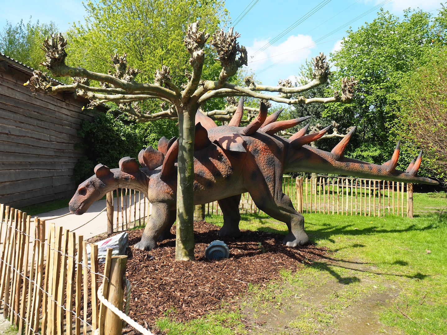 Dinosaur Weeks - Kentrosaurus statue, 2023-04-30