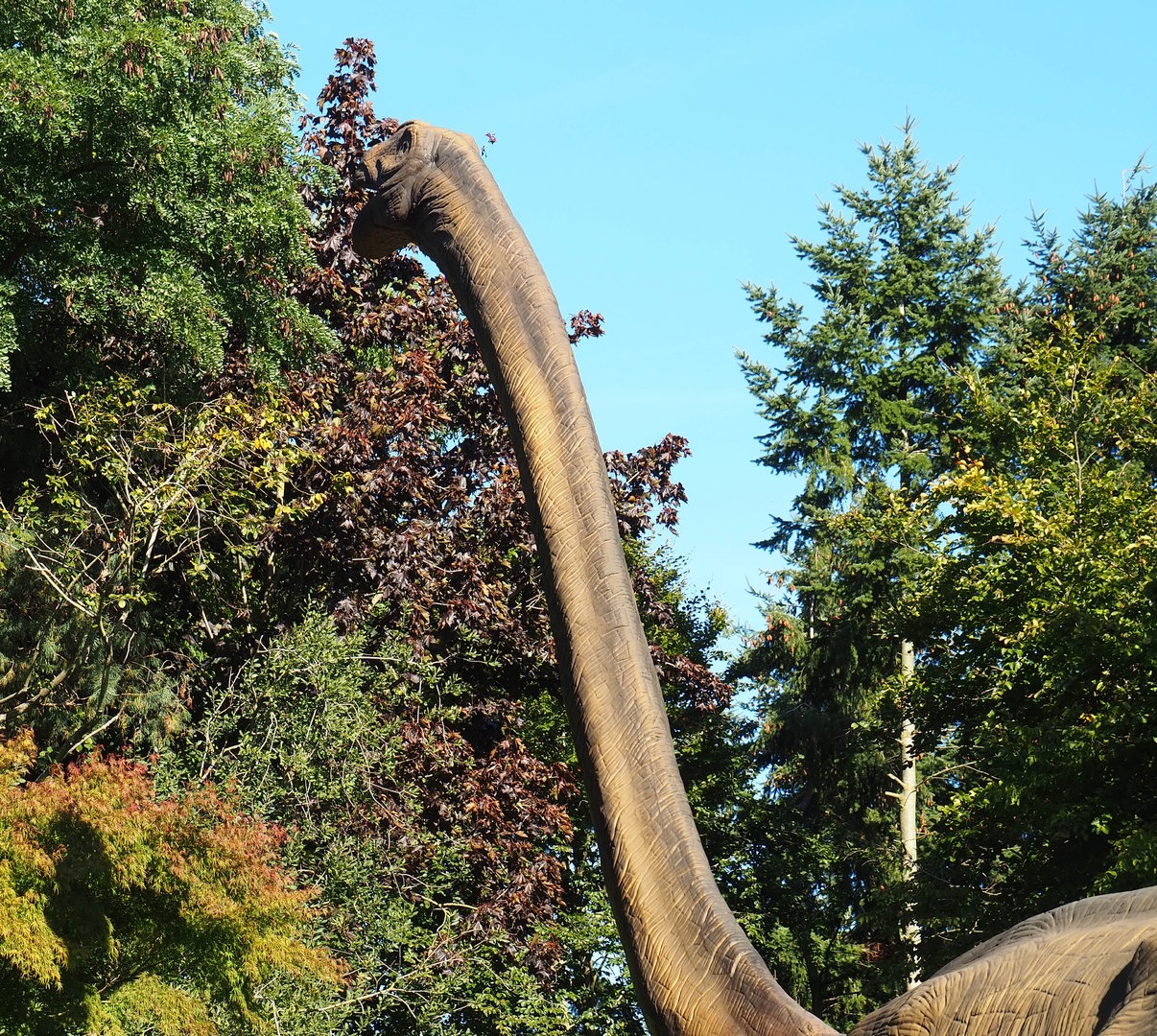 Dinosaur Weeks - Omeisaurus sculpture, 2022-10-09