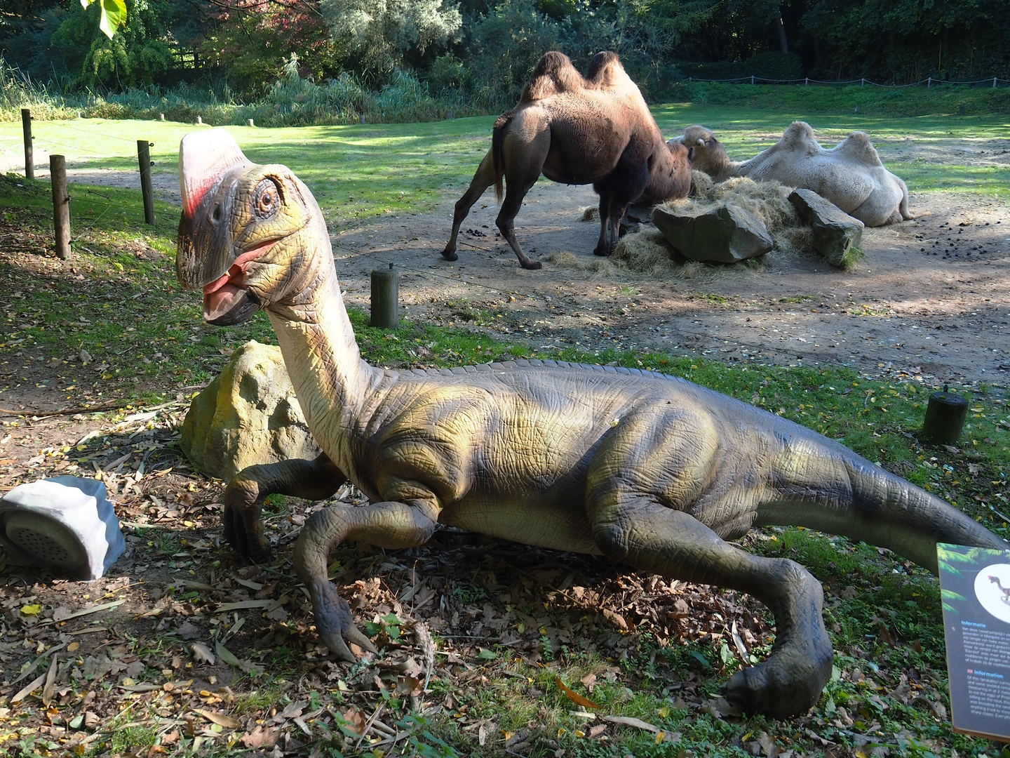 Dinosaur Weeks - Oviraptor sculpture with Bactrian camels in the background, 2022-10-09