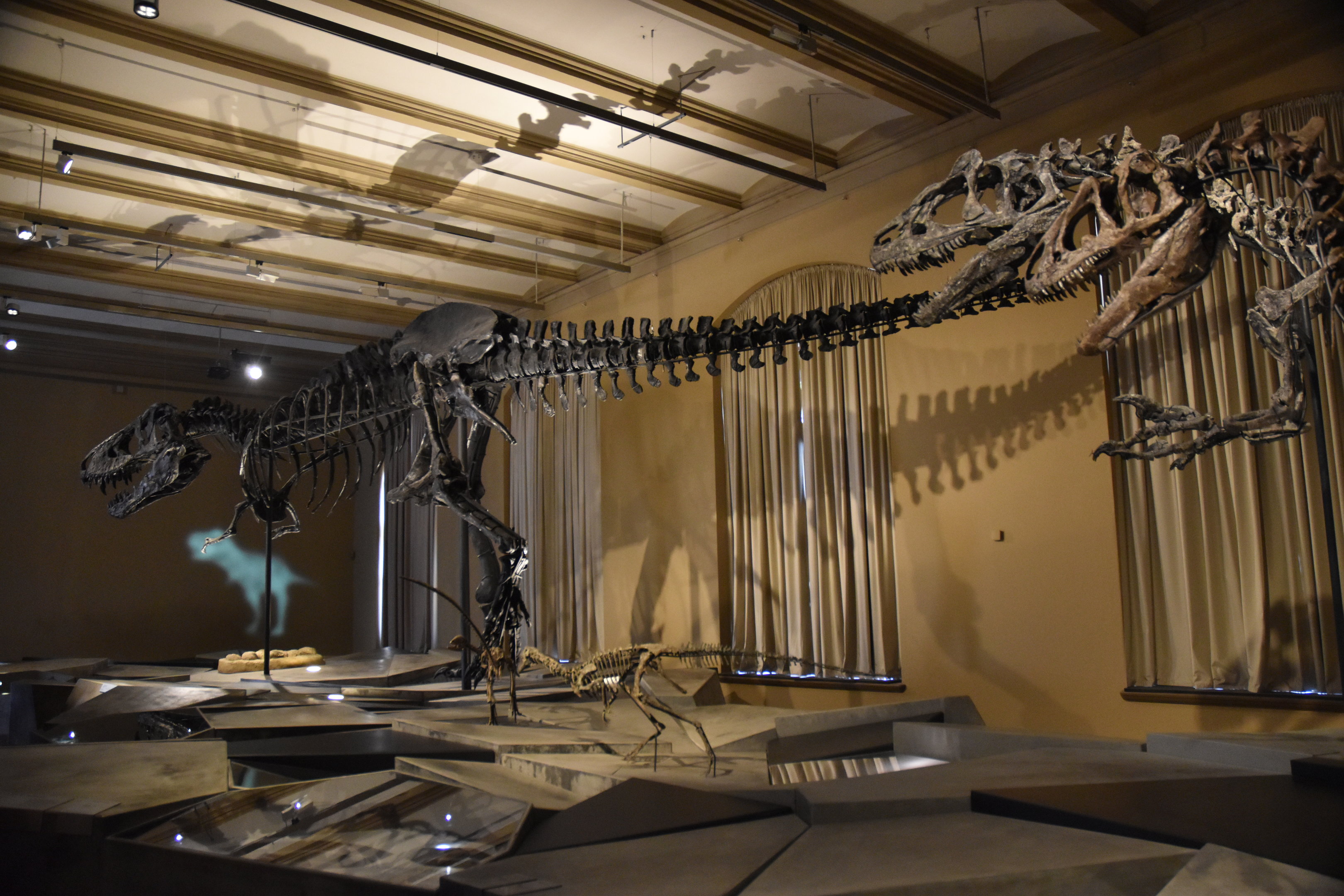 "Dinosaurier!" Exhibition Museum für Naturkunde, Berlin, 7th June 2023