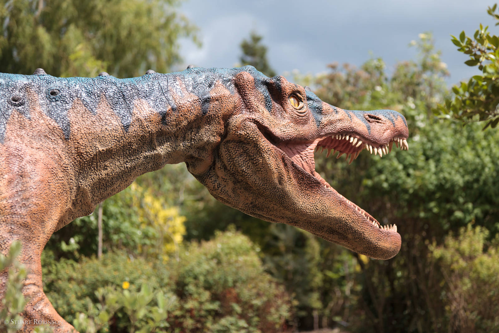 Dinosaurs are Alive! 16/06/2011