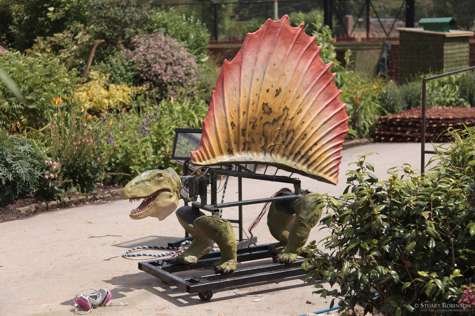 Dinosaurs are Alive! 16/06/2011