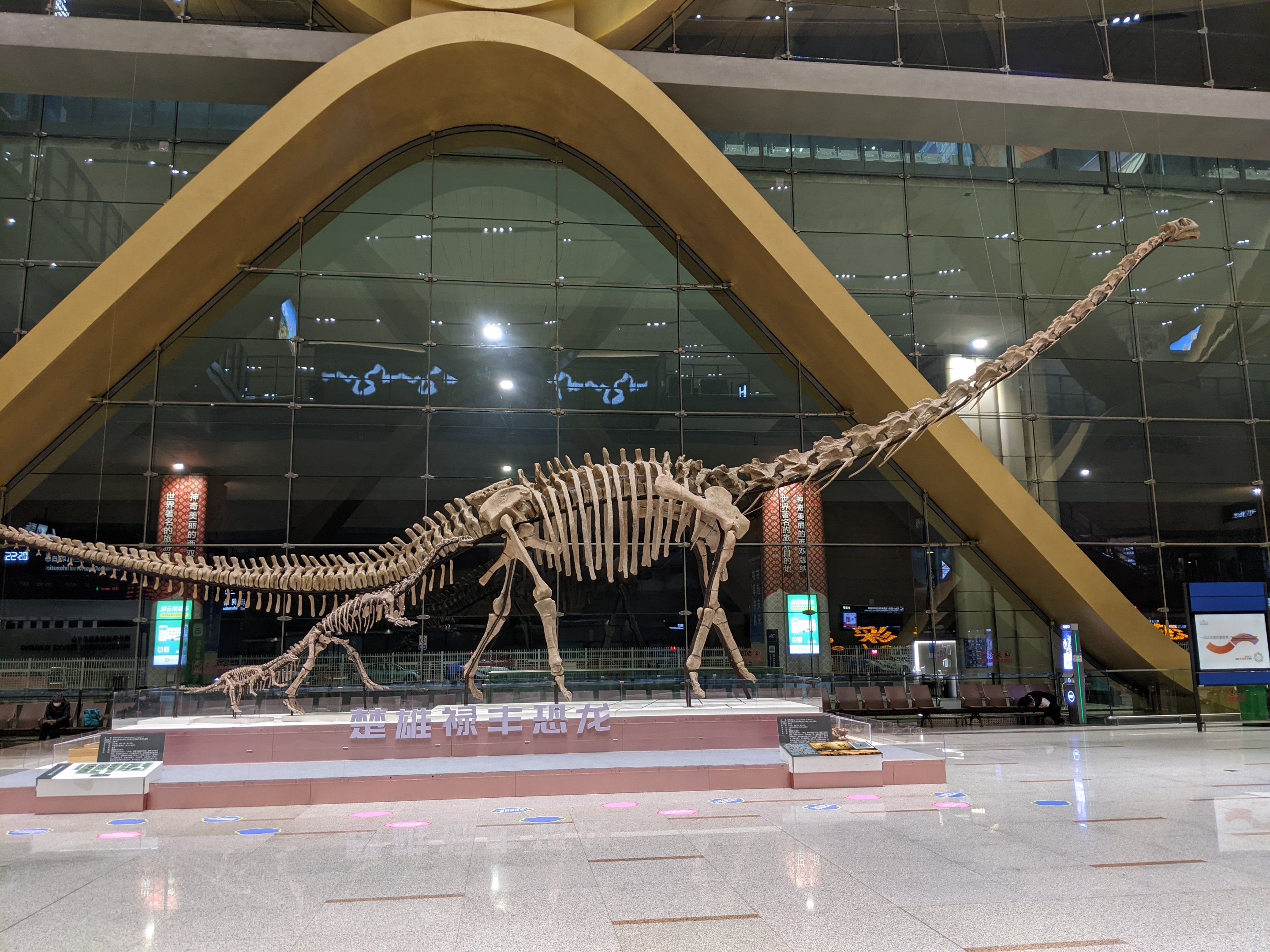 Dinosaurs at Kunming airport