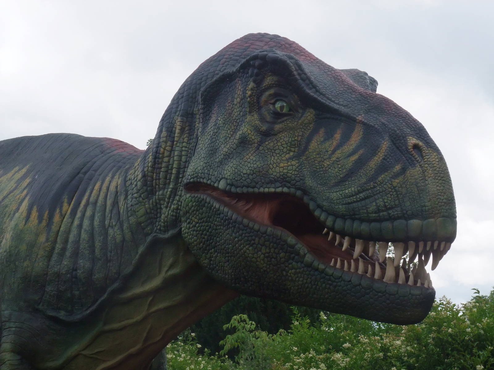 Dinosaurs at Large! - Chester, 16/07/11