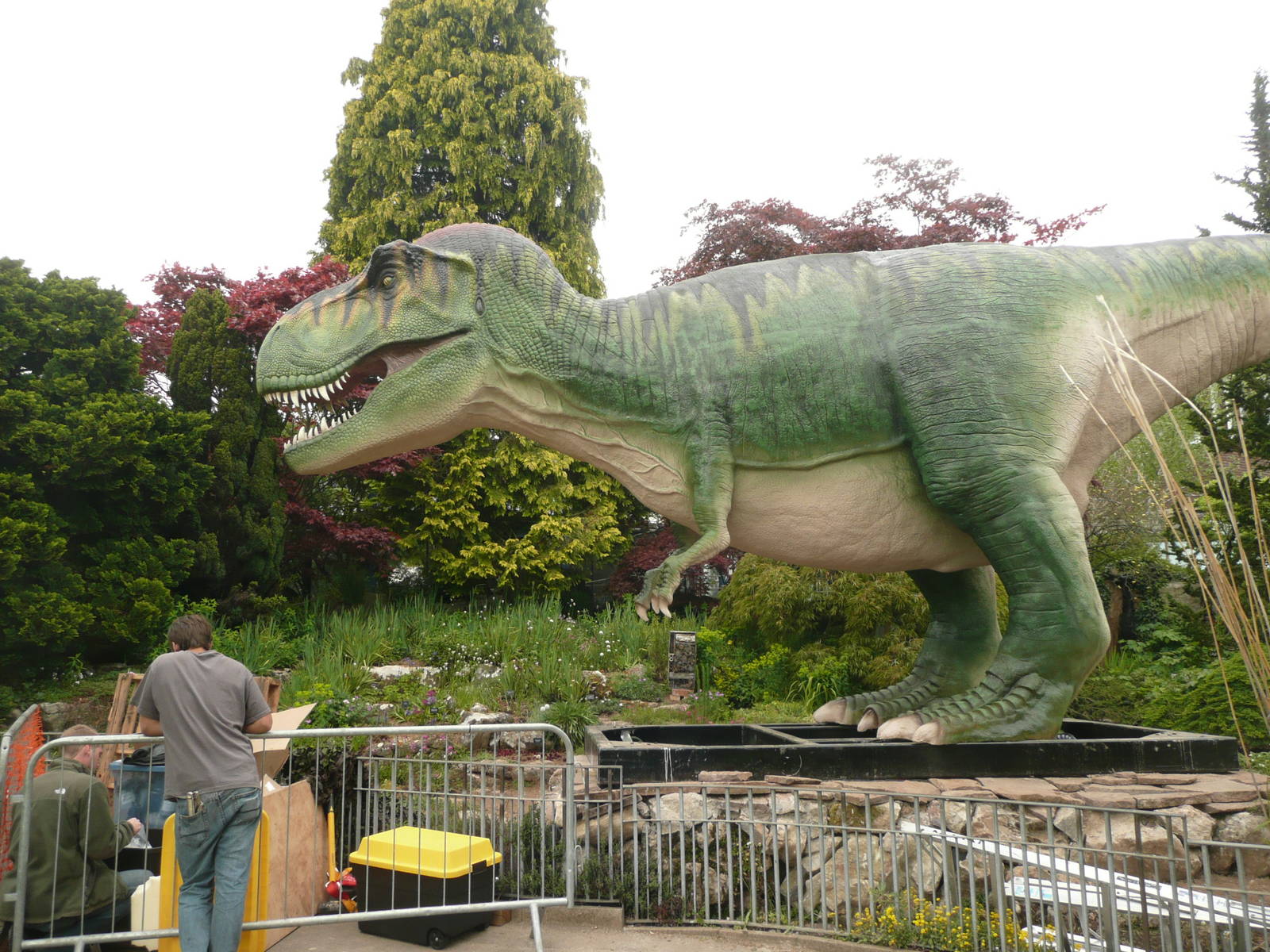 Dinosaurs being installed